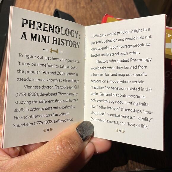 Dog Phrenology figurine  - Picture 6 of 7